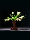 Shiva flower vase